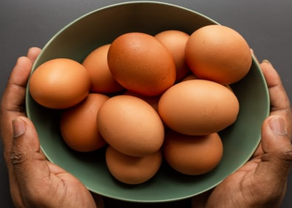 eggs - fake eggs
