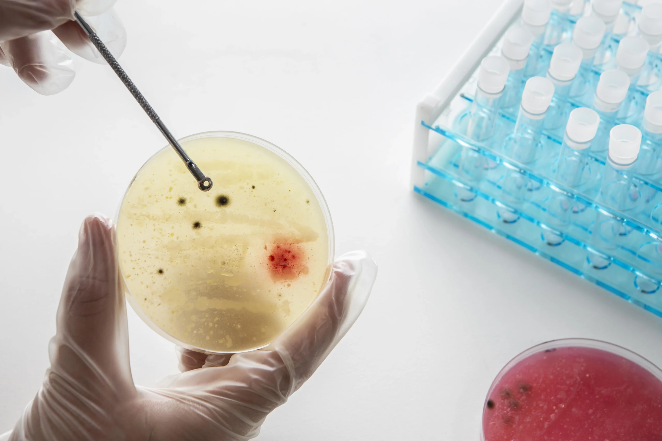 Microbiological Testing