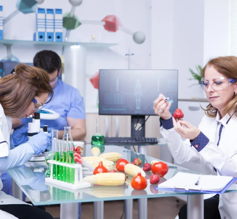 Canned And Processed Food Testing Lab
